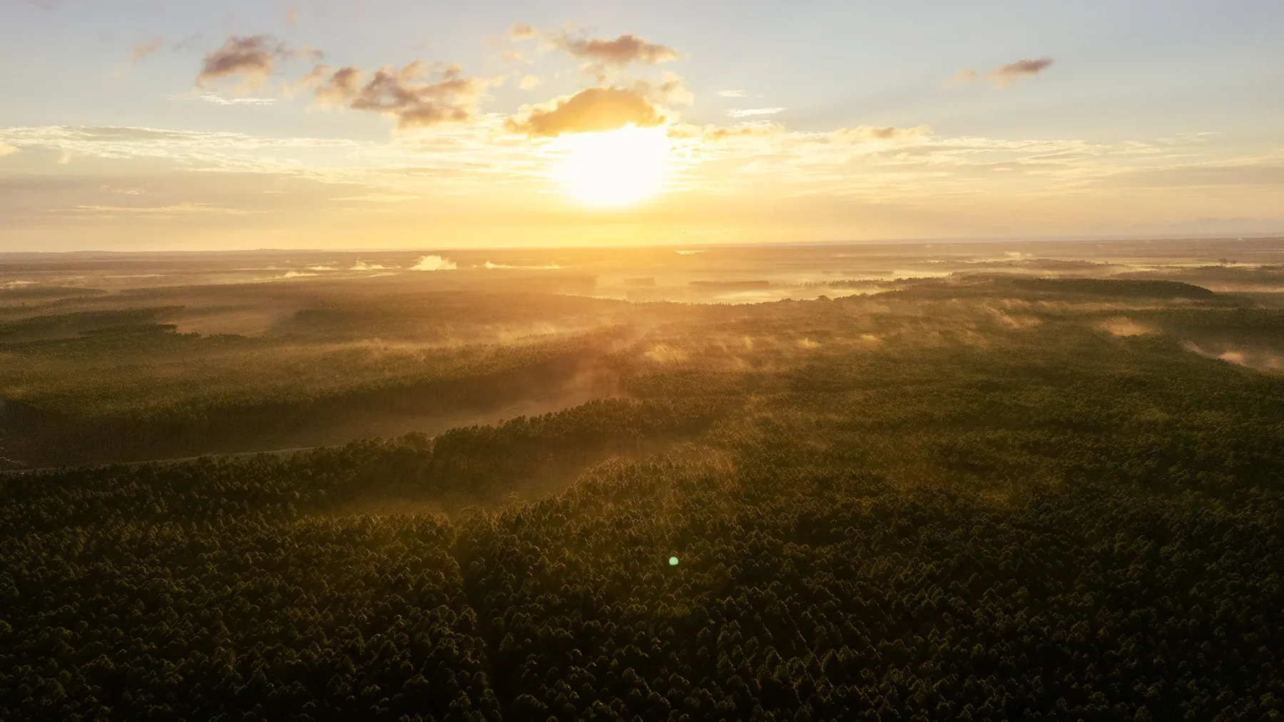 Warm sunrise spilling over misty forest and distant mountain peaks